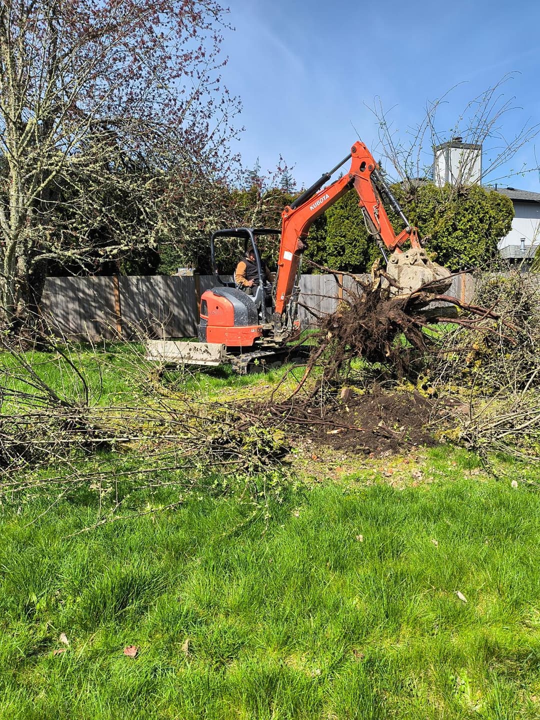 picture of an excavator pulling out a tree in a backyard